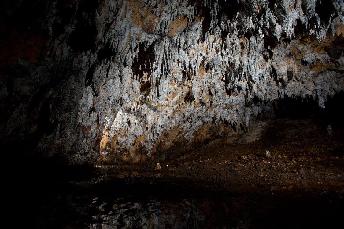 Exploration Gallery Image