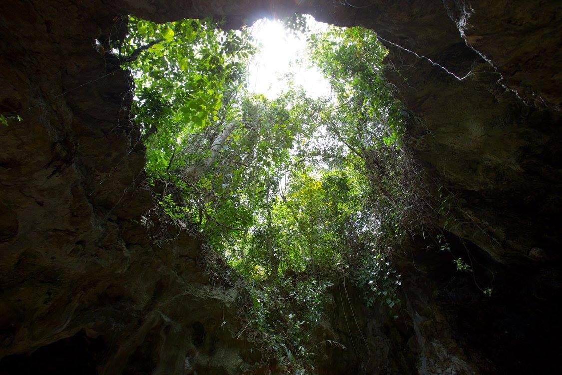 Exploration Gallery Image